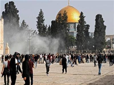 «القاهرة الإخبارية» تكشف تفاصيل اقتحام عشرات المستوطنين للمسجد الأقصى