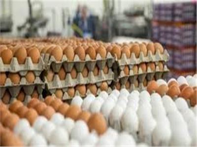 رئيس شعبة المواد الغذائية بالإسكندرية: تراجع أسعار «طبق البيض» بالأسواق | فيديو