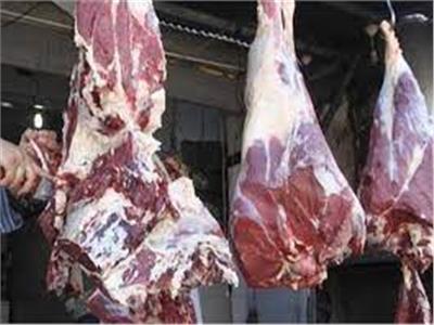  استقرار أسعار اللحوم الحمراء في الأسواق