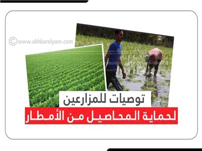 4 توصيات للمزارعين لحماية المحاصيل من الأمطار | إنفوجراف 