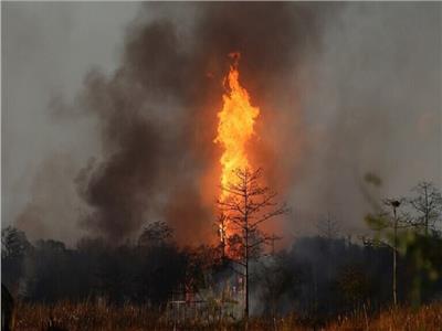 ليتوانيا تكشف سبب انفجار خط أنابيب الغاز