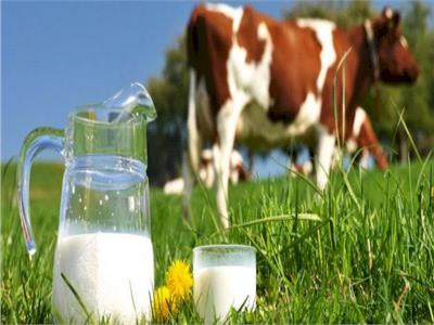 هل الحليب البقري ضار بالصحة؟ أخصائية تغذية تجيب