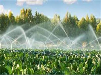 38.2 مليار متر مكعب كمية المياه المستخدمة في ري المحاصيل الزراعية خلال 2021