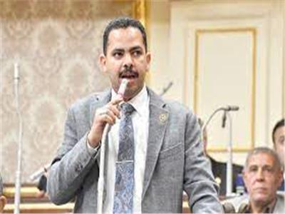 ممثل الأغلبية البرلمانية: إجراء تعديلات على القانون الحالي أفضل للرياضة المصرية