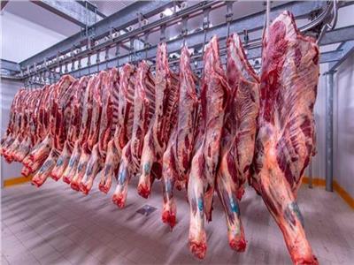 استقرار أسعار اللحوم الحمراء في الأسواق الثلاثاء 31 يناير