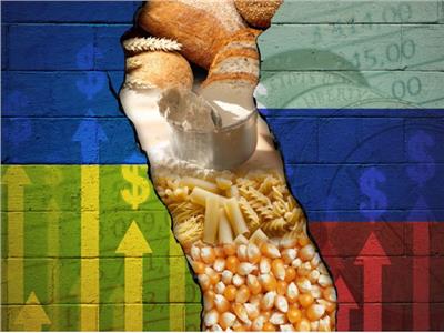 معلومات الوزراء: الأزمة «الروسية - الأوكرانية» سببت ارتفاعا غير مسبوق بأسعار الغذاء