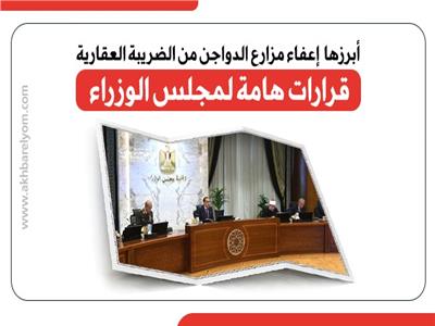 أبرزها إعفاء مزارع الدواجن من الضريبة.. قرارات هامة لمجلس الوزراء| إنفوجراف