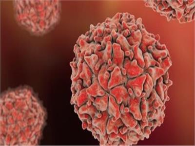 متحدث الصحة يكشف أعراض فيروس« ماربورج» 