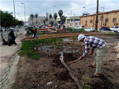 رفع 350 طن قمامة من الشوارع والميادين بمدينة المنصورة