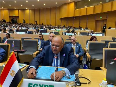 وزير الخارجية: «تنمية أفريقيا» على رأس أولويات الرئيس السيسي بالقارة