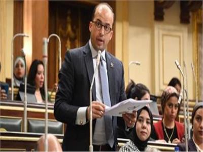 نائب التنسيقية: مصر اتخذت مسارًا جادًا للانفتاح على الدول الخارجية 