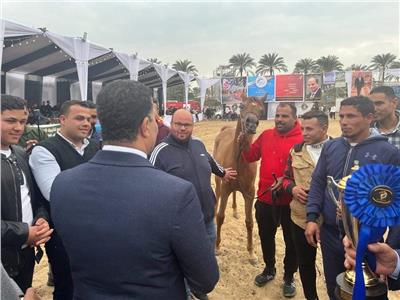 انطلاق فعاليات المهرجان الدولي الـ16 للخيول العربية الأصيلة بالبحيرة