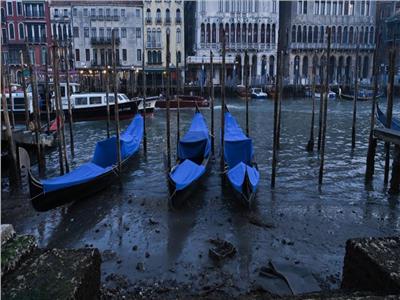أستاذ دراسات بيئية يكشف سبب توقف «قوارب البندقية» فى إيطاليا