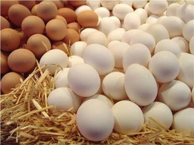 أسعار البيض في الأسواق اليوم الإثنين 27 فبراير