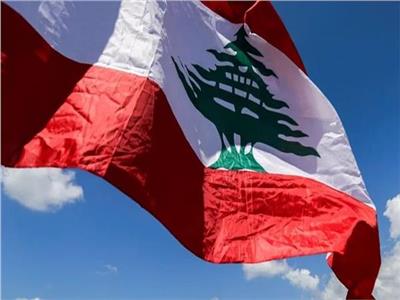 خبير اقتصادي: «الدولرة» ضرورة لحماية المستهلك اللبناني