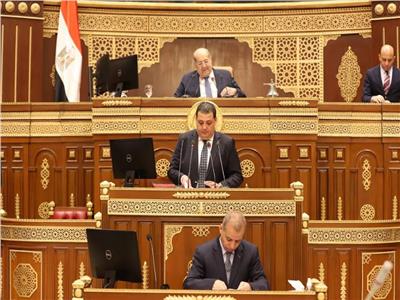 عضو مجلس الشيوخ: مصر تتعرض لحملات ممنهجة لتغييب الوعي‎‎