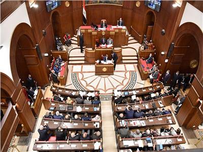 برلمانية تستعرض أمام «الشيوخ» سياسة الحكومة لتحفيز المصريين بالخارج‎‎