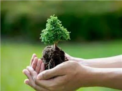«البيئة»: «الحلول القائمة على الطبيعة» مبادرة للربط بين أزمات المناخ