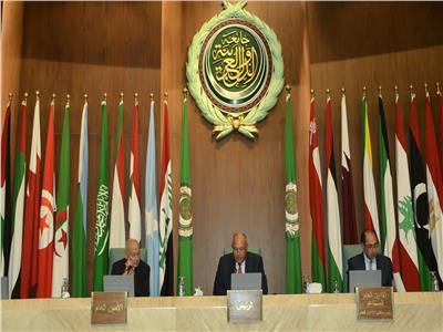 سامح شكري يدعو الدول العربية لدعم موقف مصر في قضية سد النهضة