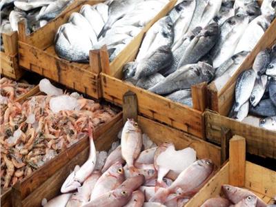 أسعار الأسماك في سوق العبور اليوم الخميس 9 مارس