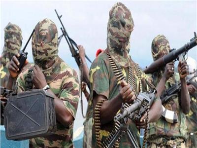 حركة بوكو حرام تقتل 29 شخصا شمال شرقي نيجيريا