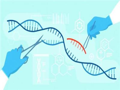 «كبسولة طبية».. التصويب الجيني أمل جديد لعلاج الأمراض الوراثية 