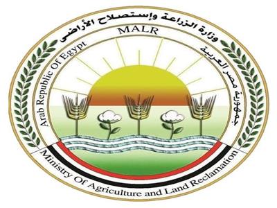 «الإصلاح الزراعي»: حملات لتدقيق زراعات المحاصيل الاستراتيجية
