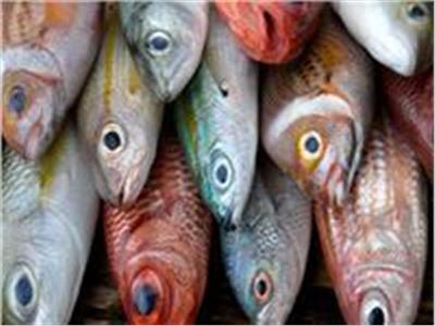 استقرار أسعار الأسماك  في سوق العبور اليوم 31 مارس 