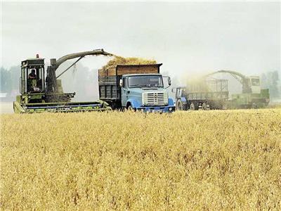 «فيتيرا» تعتزم وقف تصدير المحاصيل الروسية وتدرس بيع أصولها
