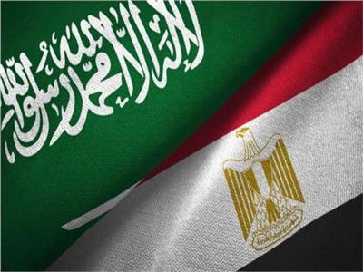 الإحصاء: 13.5 % ارتفاعاً في قيمة التبادل التجاري بين مصر والسعودية خلال عام  2022