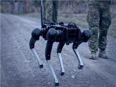 بعد استخدامهم عسكريًا.. نشر روبوتات للقيام بدوريات شرطية بعدة دول