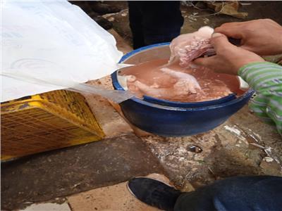 «في رمضان».. محل شهير يحقن الدواجن بالمياه لبيعها أزيد من وزنها الحقيقي بالغربية