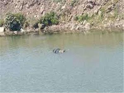 العثور على جثة شخص في نهر النيل بالبدرشين