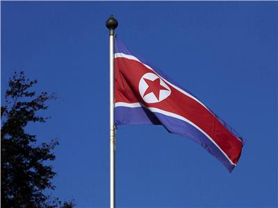كوريا الشمالية تتعهد بالبدء في «مشاريع فضائية نشطة»