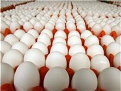 استقرار أسعار البيض اليوم الجمعة 14 أبريل 