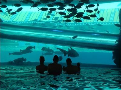 «سبا جيليرت» الأبرز.. أجمل 4 حمامات سباحة حول العالم | صور
