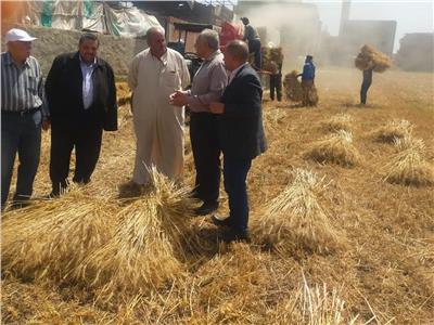 الغربية: 1500 جنيه لإردب القمح زنة 150 كم في موسم التوريد للصوامع والشون