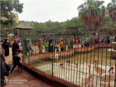 حديقة الحيوان بالشرقية تواصل استقبال المواطنين في إجازة عيد الفطر| صور