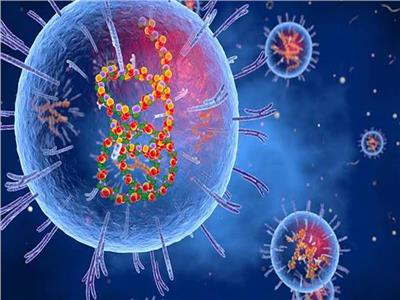 فيروس لاسا.. أخطر الفيروسات في نيجيريا