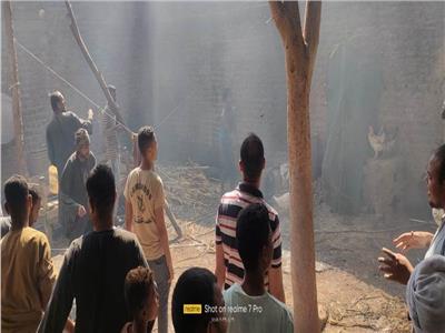 صور| السيطرة على حريق في أسطح منازل ونخيل قرية «هتيم الشمرات» بقنا 