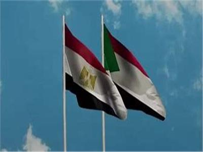خبير في الشؤون الأفريقية: مصر كانت صاحبة أول مبادرة لحل أزمة السودان .. فيديو