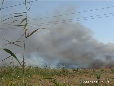 إخماد حريق في أراضي مزروعة قمح بكفر الشيخ
