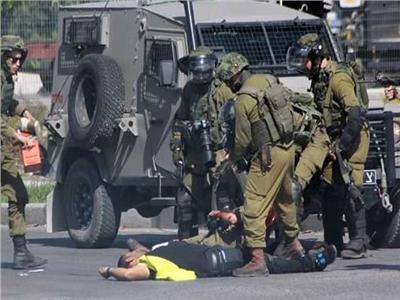 الاحتلال الإسرائيلي يعتقل مواطنا فلسطينياً وعدداً من المتضامنين الأجانب في الخليل
