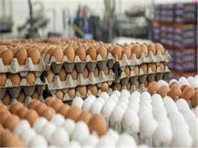 شعبة بيض المائدة: ننتج 500 ألف طبق يوميا من البيض 
