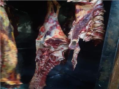 ضبط " طن" من اللحوم غير صالحة للاستهلاك الآدمى في حملات بالمنيا