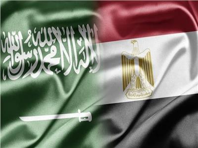 لتعزيز التعاون المشترك.. انعقاد لجنة المتابعة والتشاور بين مصر والسعودية