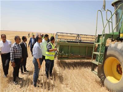 نائب محافظ المنيا: شون وصوامع المحافظة تستقبل 162 ألف طن من القمح 