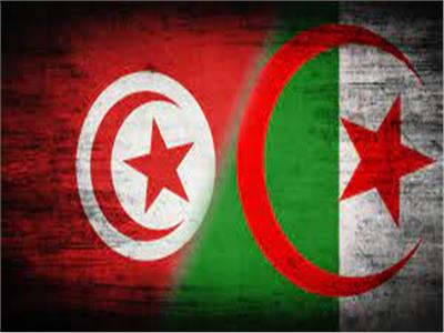 الجزائر تؤكد تضامنها مع تونس إثر مقتل 4 أشخاص في حادث مدينة جربة