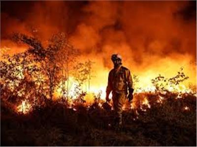 كندا تدفع بالجيش لمواجهة حرائق الغابات