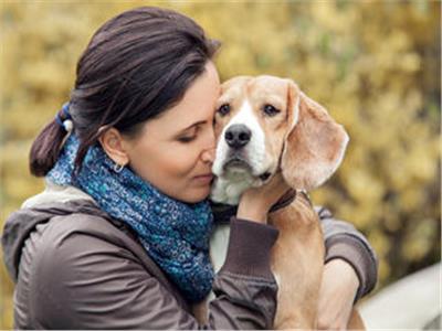 دراسة| «الكلاب تعاني من الاضطرابات الإدراكية التي يعاني منها الإنسان» 